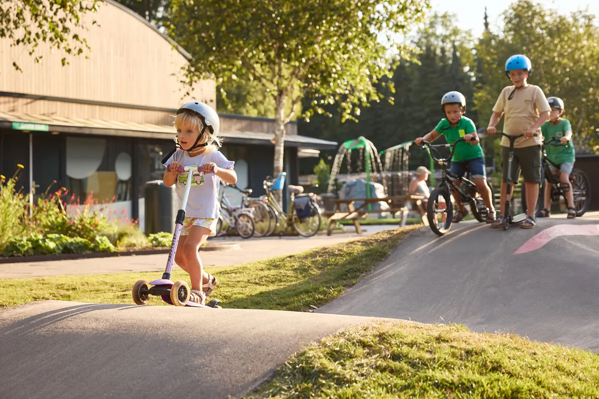 Camping Rcn De Roggeberg — hoofdfoto