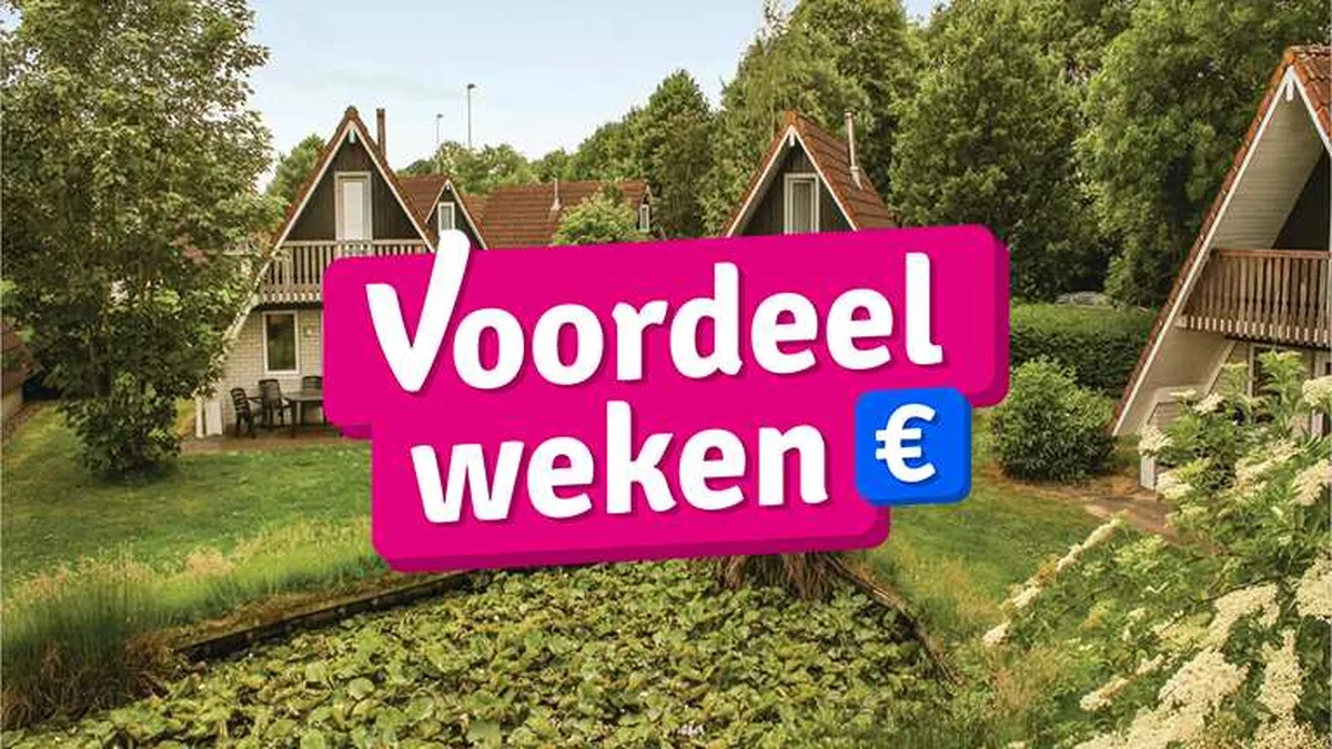 't Hooge Holt — hoofdfoto