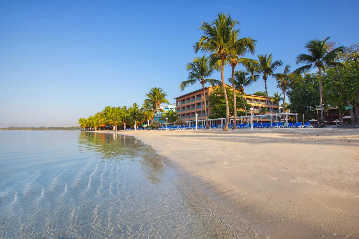 whala! boca chica — hoofdfoto