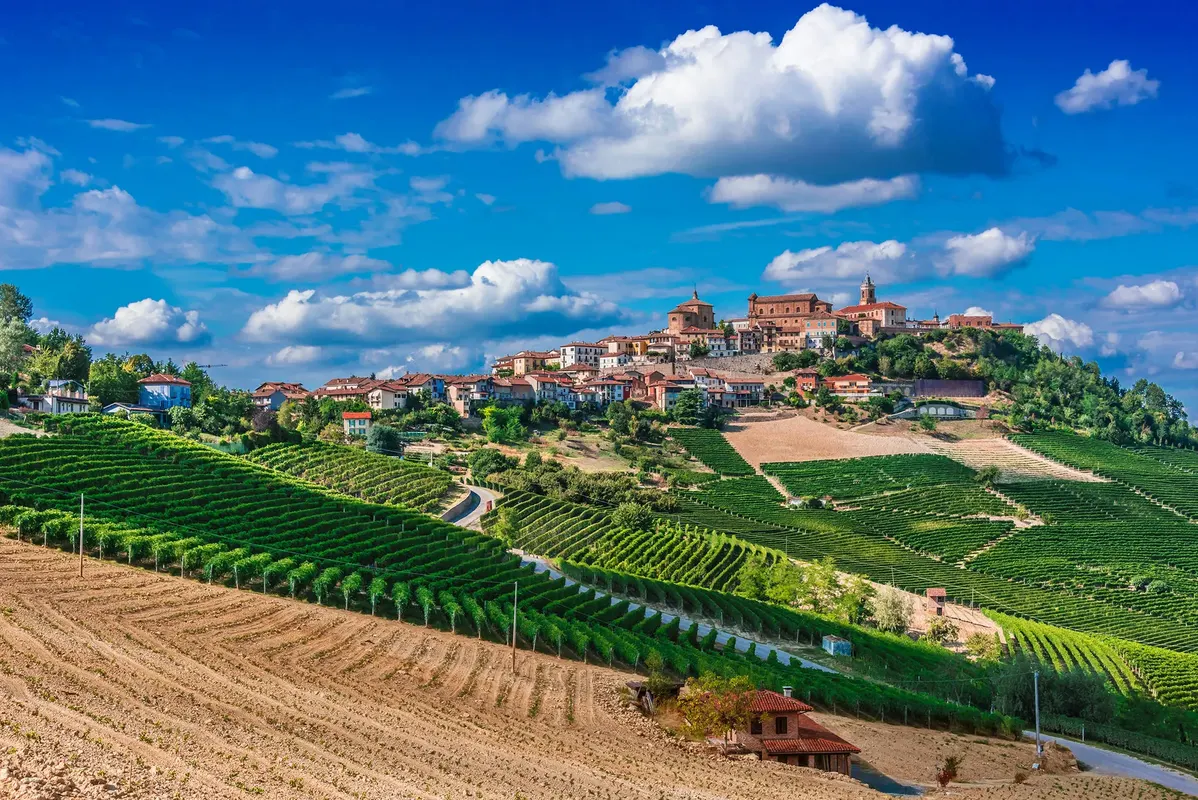 Train & Electric Drive naar de wijnstreek Piemonte — hoofdfoto