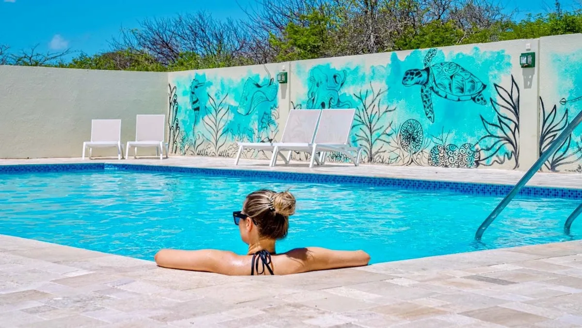Dream of the Green Flamingo — hoofdfoto