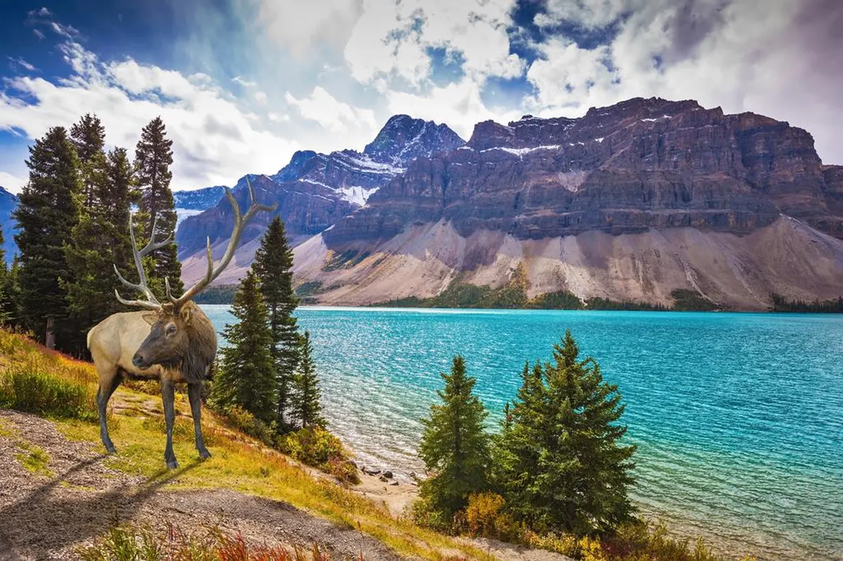 16 daagse fly drive West Canada & Rocky Mountains — hoofdfoto