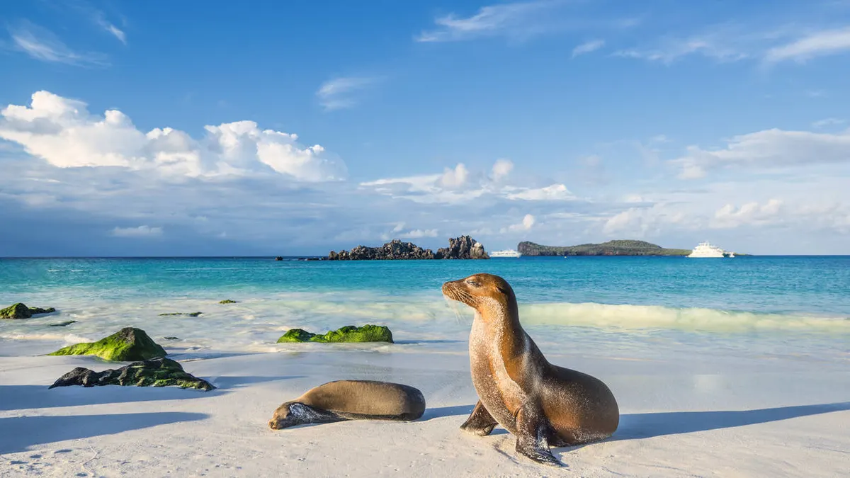 Beautiful Ecuador and Galapagos — hoofdfoto