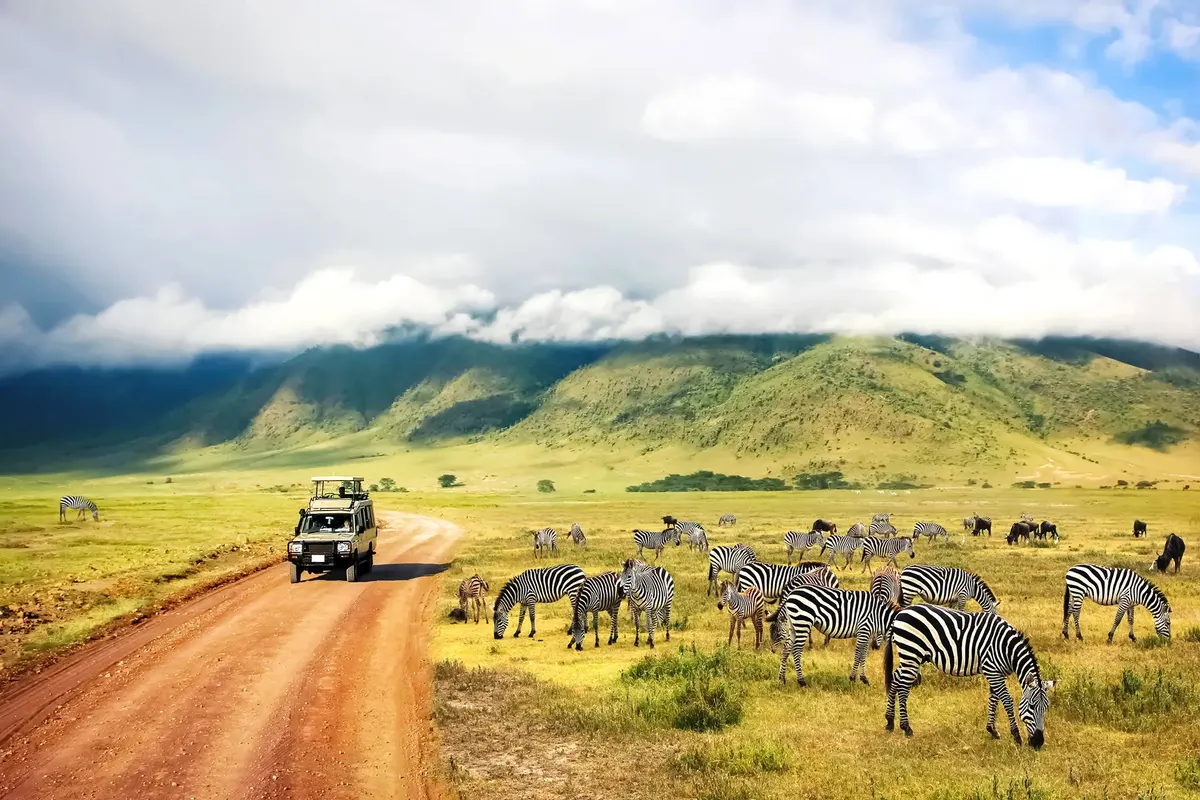 Tanzania op het gemak — hoofdfoto