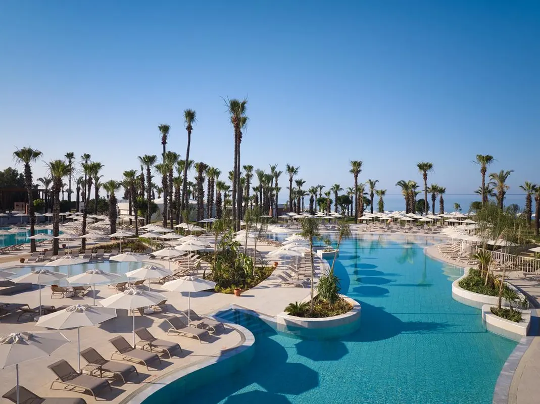 Paloma Grida — hoofdfoto