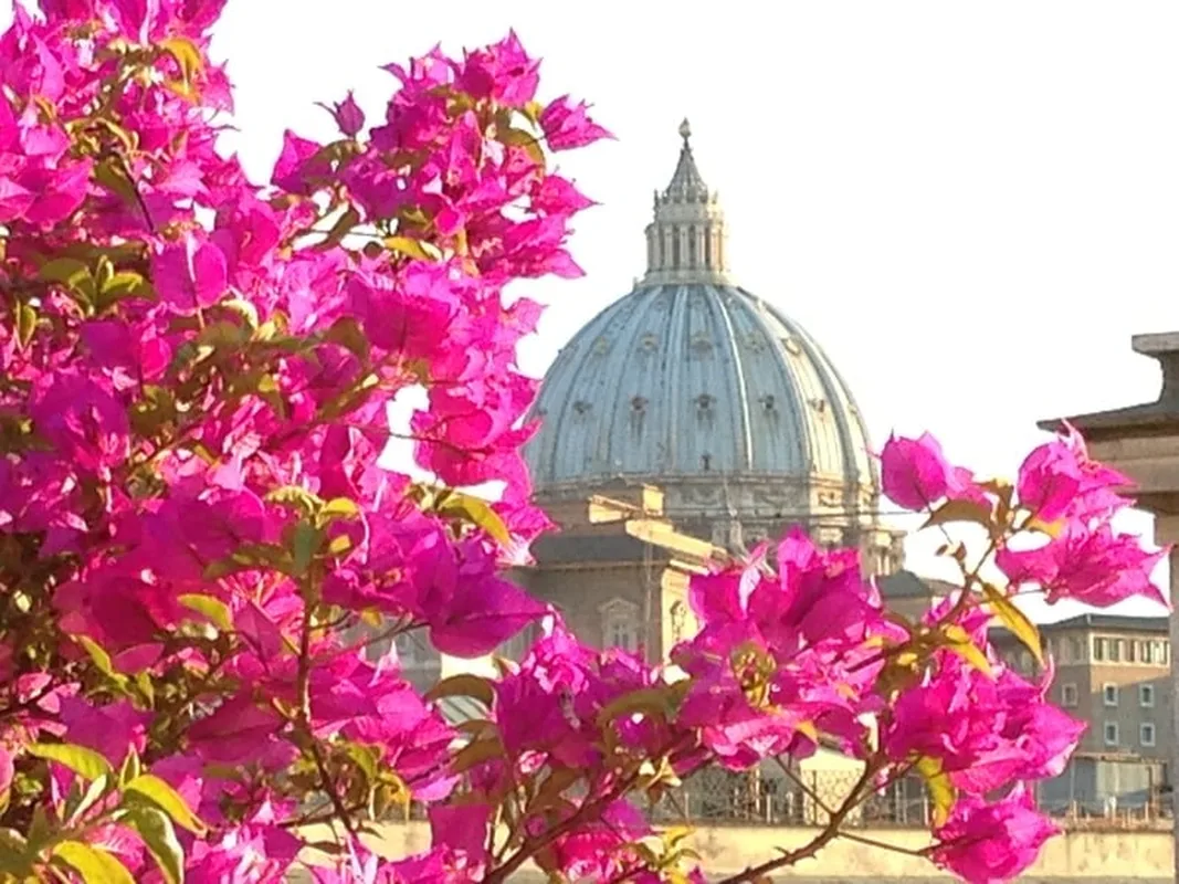 Dei Consoli Roma, hoofdfoto