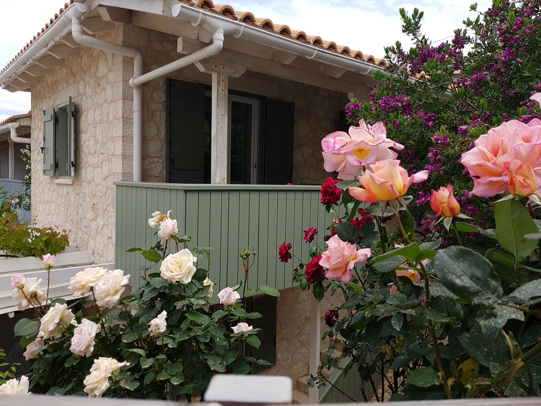 Appartementen Wild Sea — hoofdfoto