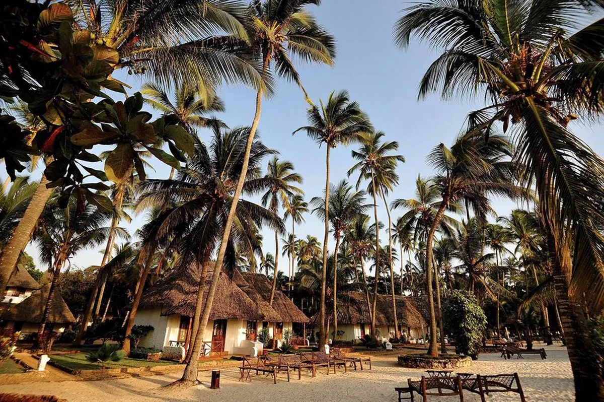 16 daagse safari Verrassend Tanzania & Zanzibar — hoofdfoto