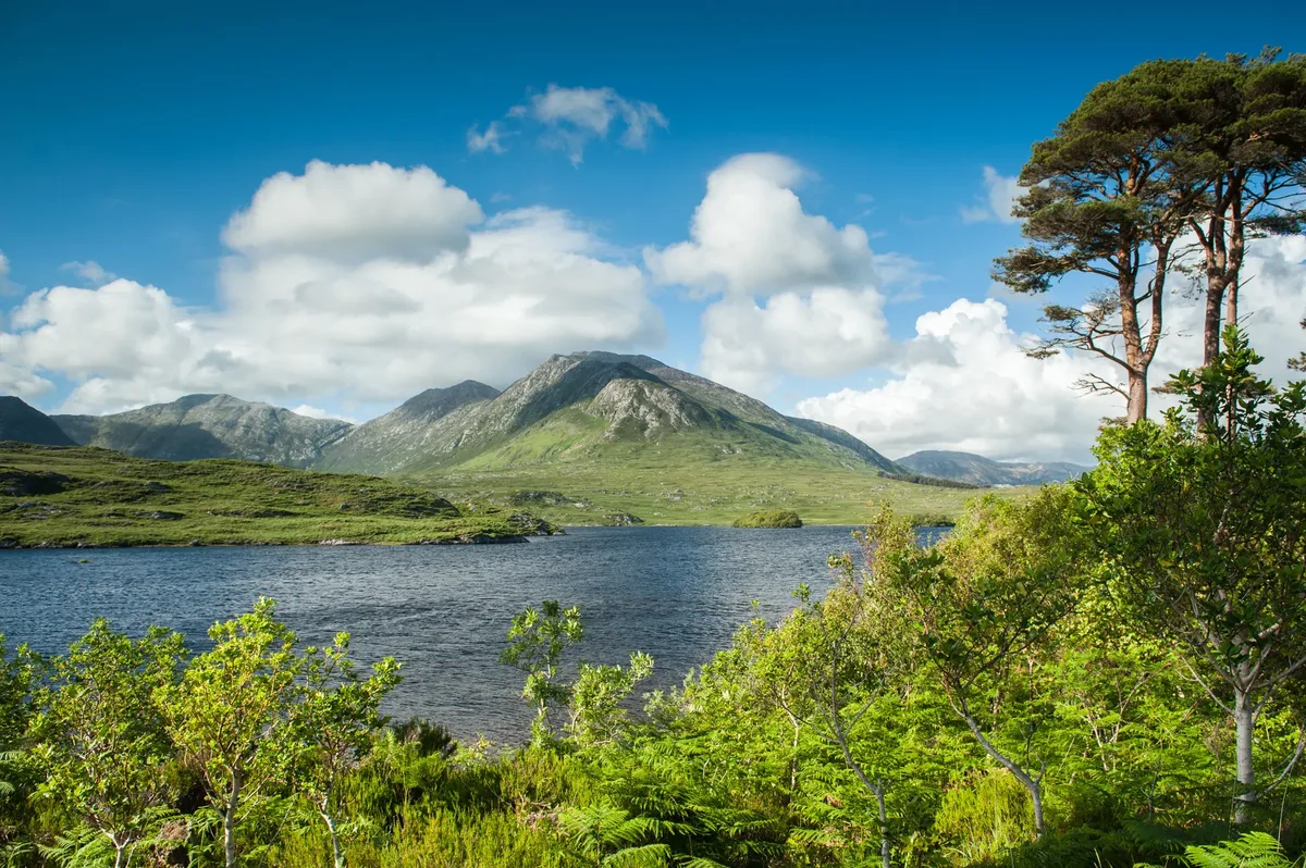 Ierland, 40 tinten groen — hoofdfoto