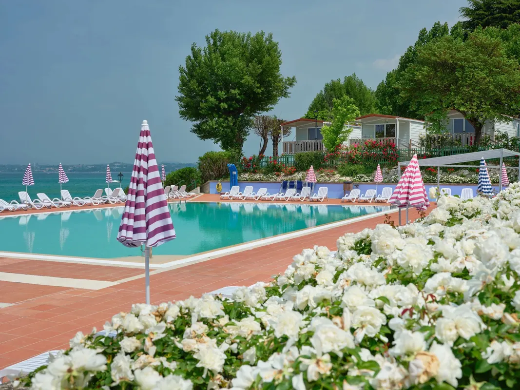 Camping Wien — hoofdfoto