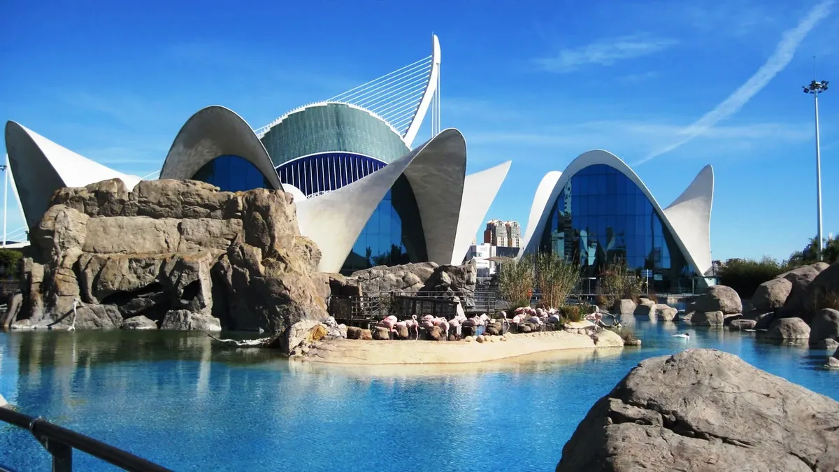 Winterzon in Valencia, hoofdfoto