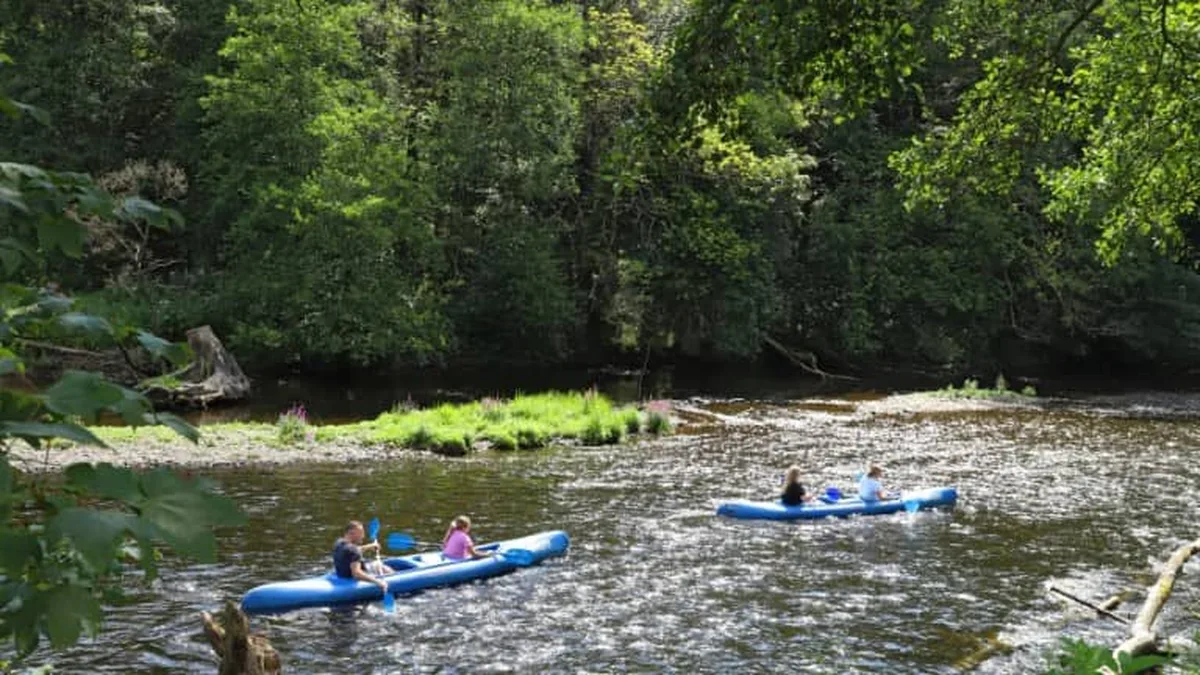 Camping Floreal La Roche-en-Ardenne — hoofdfoto