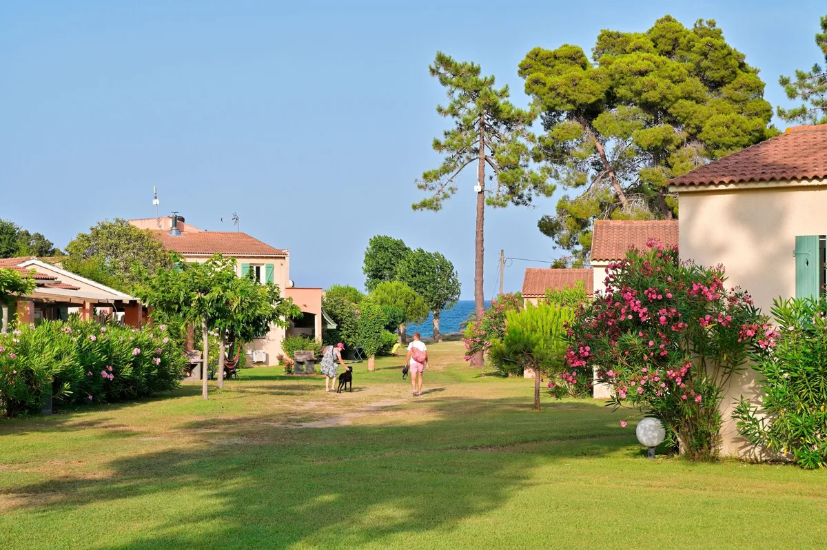 Vakantiepark Pinea Mare — hoofdfoto