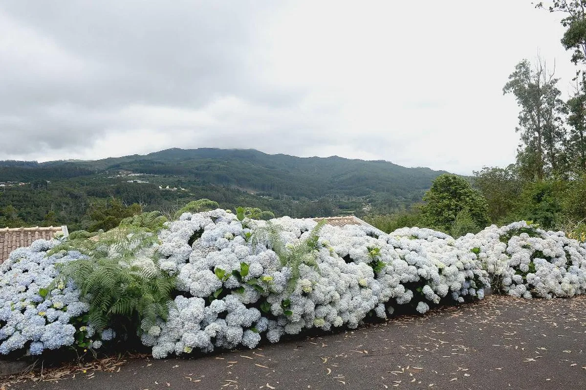 Quinta da Cova do Milho, hoofdfoto