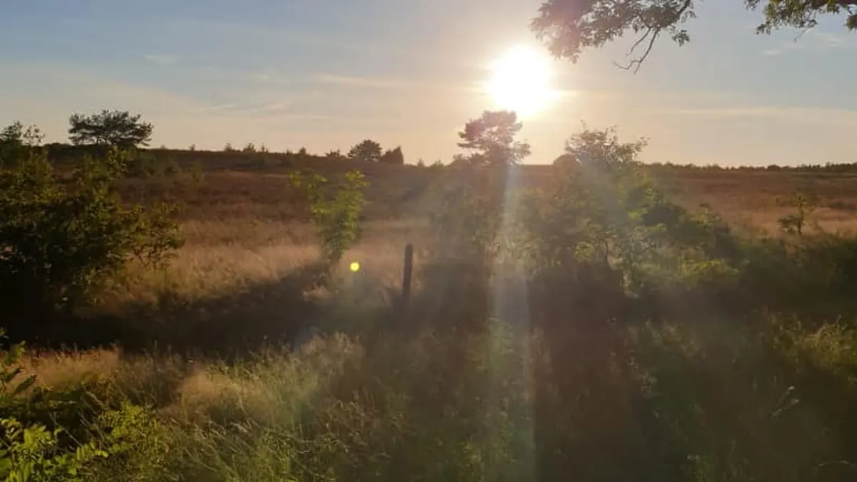 Heidepark Veluwschkarakter — hoofdfoto