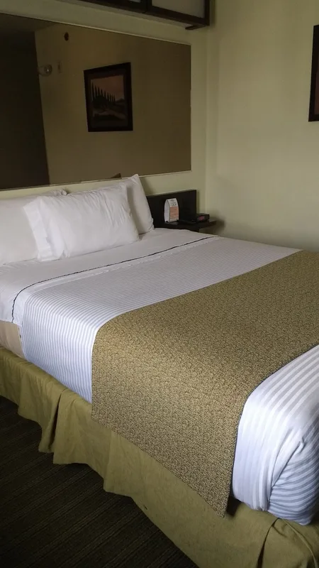 Microtel Inn & Suites by Wyndham Toluca, hoofdfoto