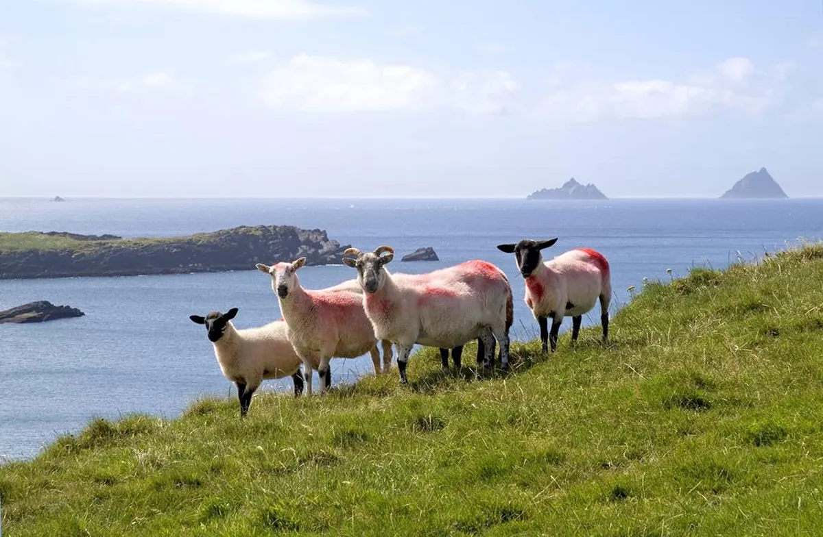 11-daagse rondreis Grand Tour Ierland — hoofdfoto