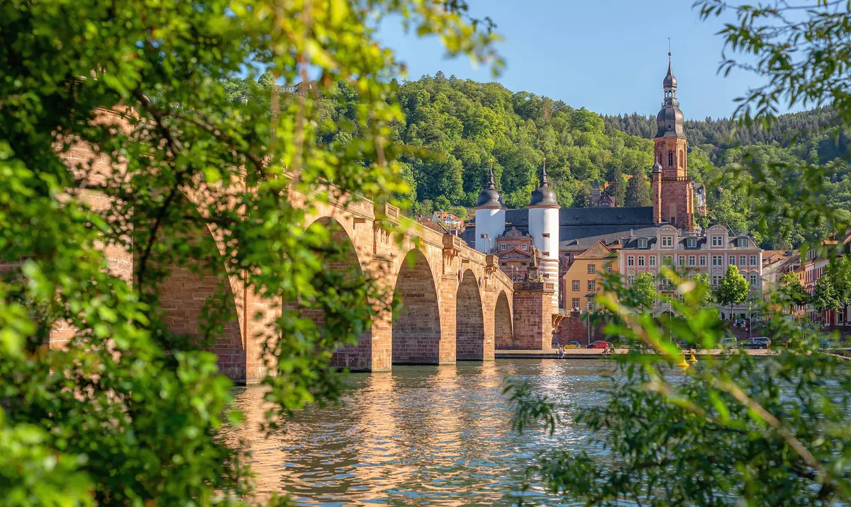 Door het romantische Rijndal naar Mainz met mps Johann Strauss — hoofdfoto