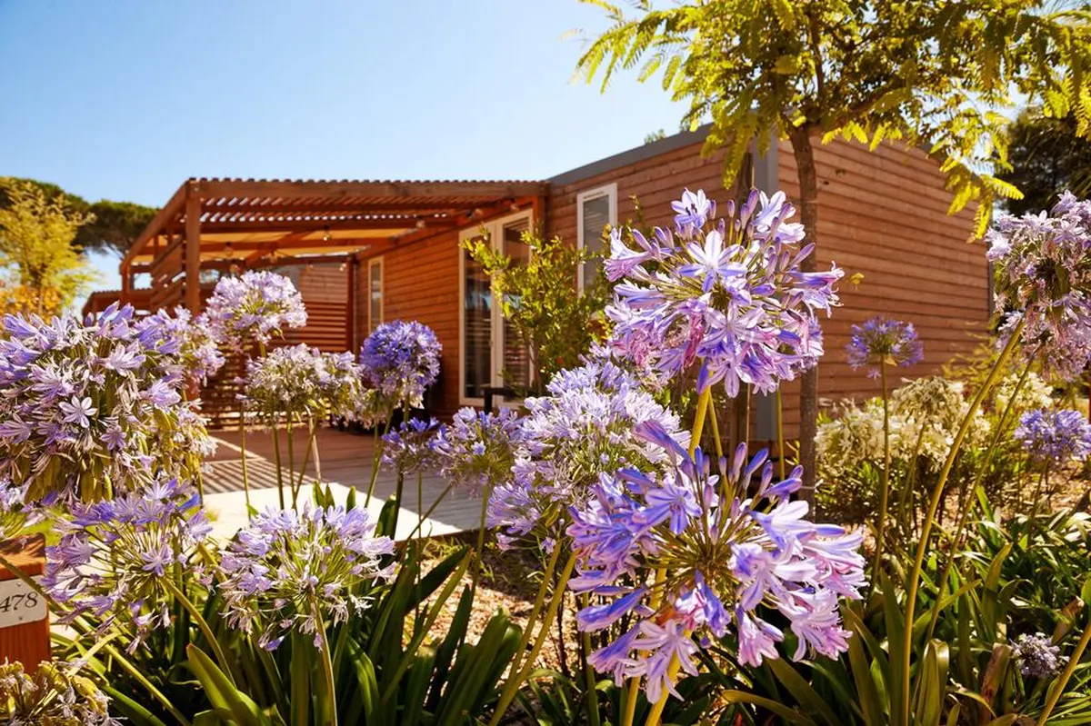 Le Dauphin — hoofdfoto