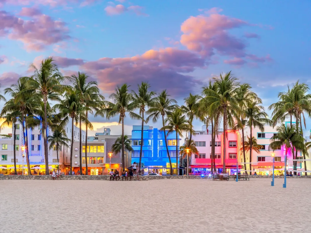 Florida Sunshine — hoofdfoto