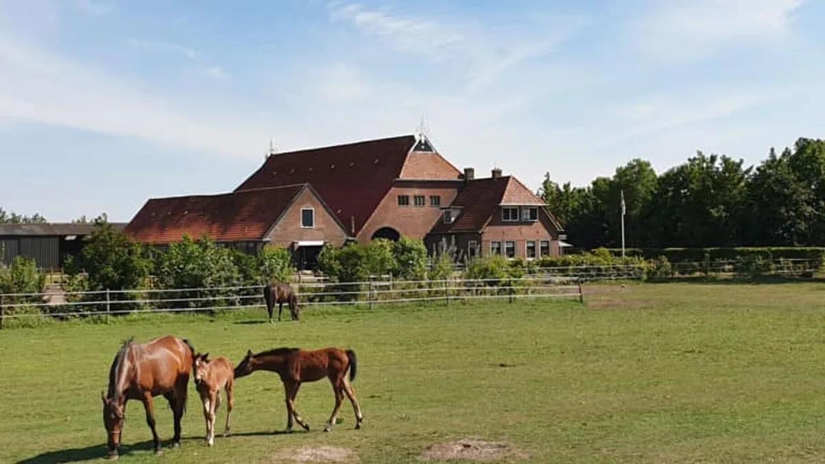 Vodatent Camping Eefting — hoofdfoto