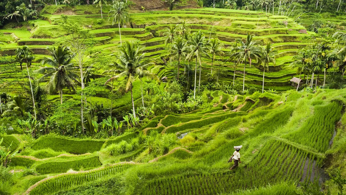 A Balinese Escape — hoofdfoto