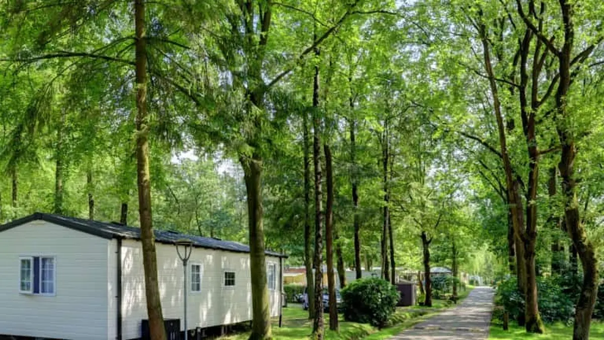 Camping Floreal Het Veen — hoofdfoto