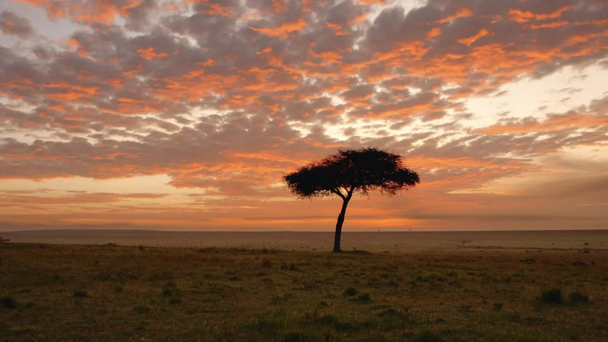 Explore the Great Nature of Kenya — hoofdfoto
