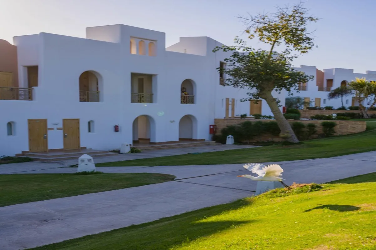 Novotel Sharm el Sheikh Palm — hoofdfoto
