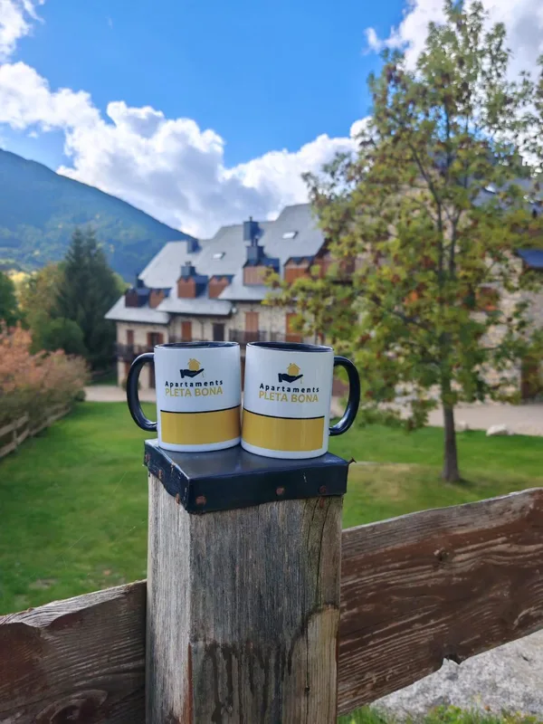 Apartaments Pleta Bona — hoofdfoto