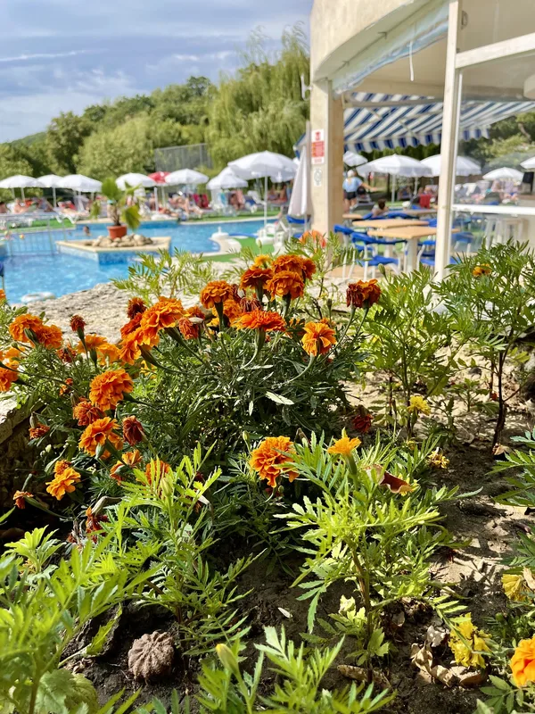BSA Holiday Park, hoofdfoto