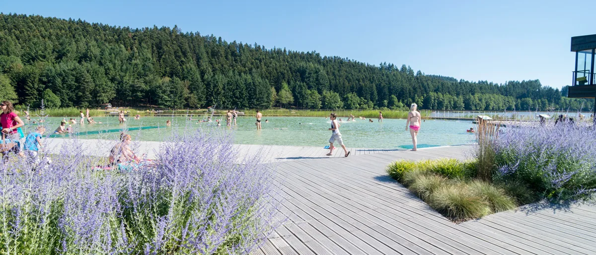 Le Lac Des Sapins — hoofdfoto