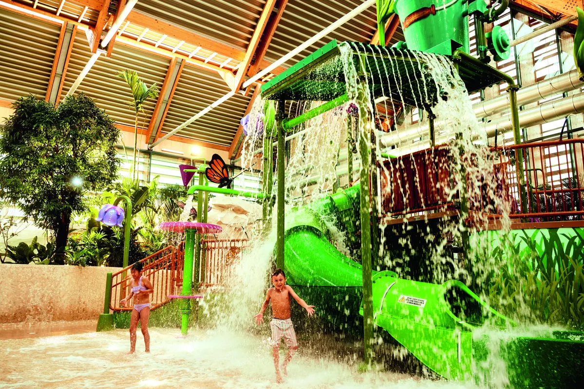 Les Landes De Gascogne — hoofdfoto