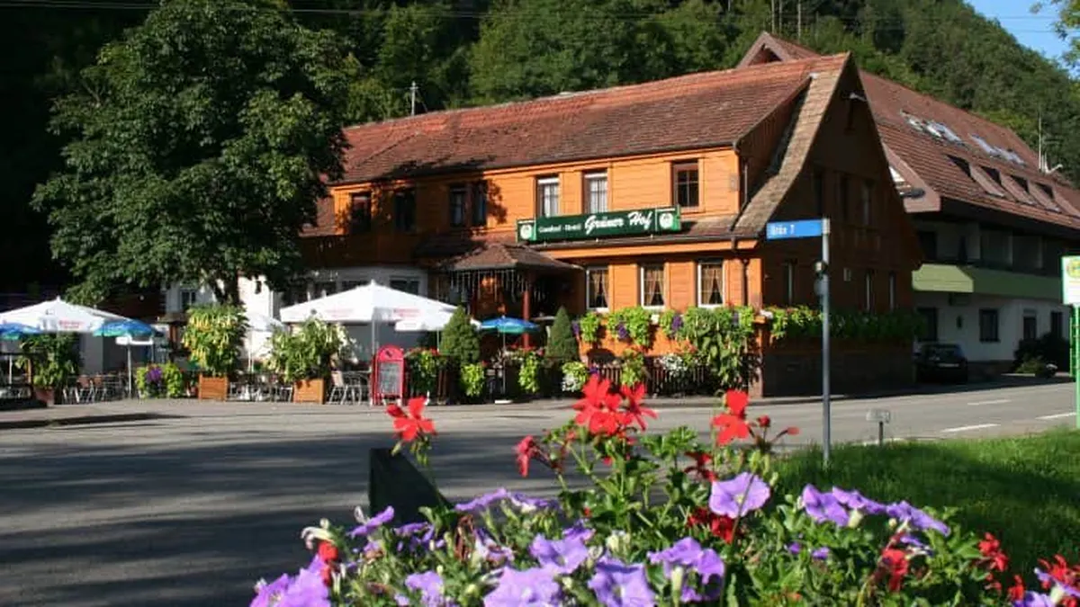 Hotel Grüner Hof — hoofdfoto