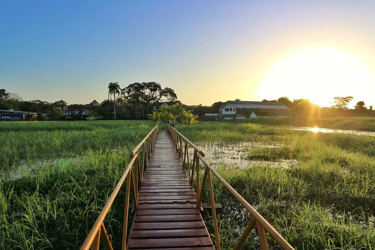 10 daagse reis a taste of Suriname — hoofdfoto