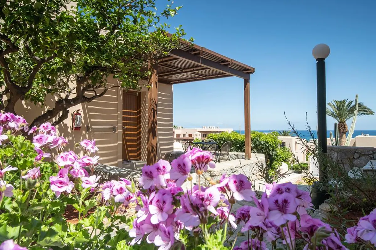 Ida Village — hoofdfoto