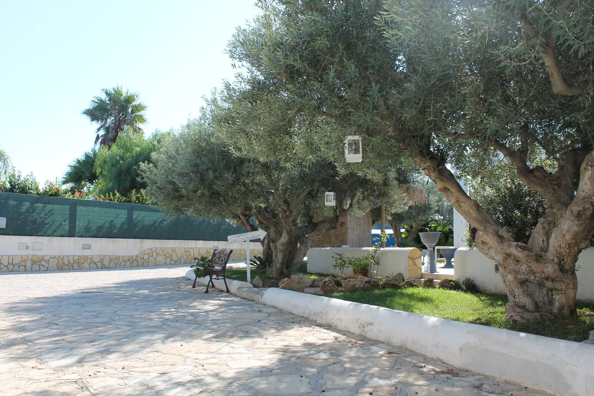 Signorino Resort, hoofdfoto