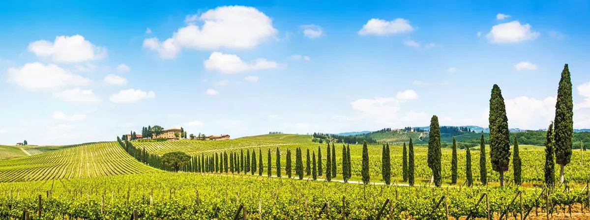 8-daagse rondreis Parels van Toscane — hoofdfoto