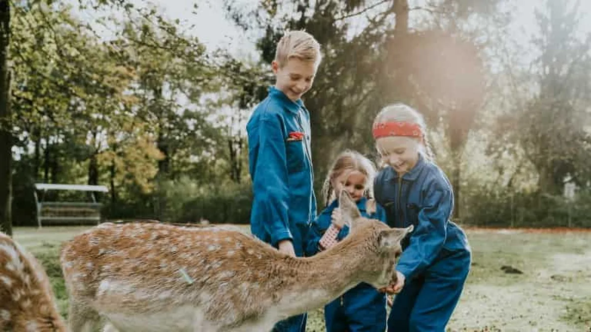 Vakantiepark Dierenbos — hoofdfoto