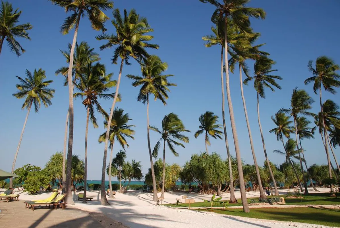 13 daagse safari The Mombasa Rendez Vous — hoofdfoto