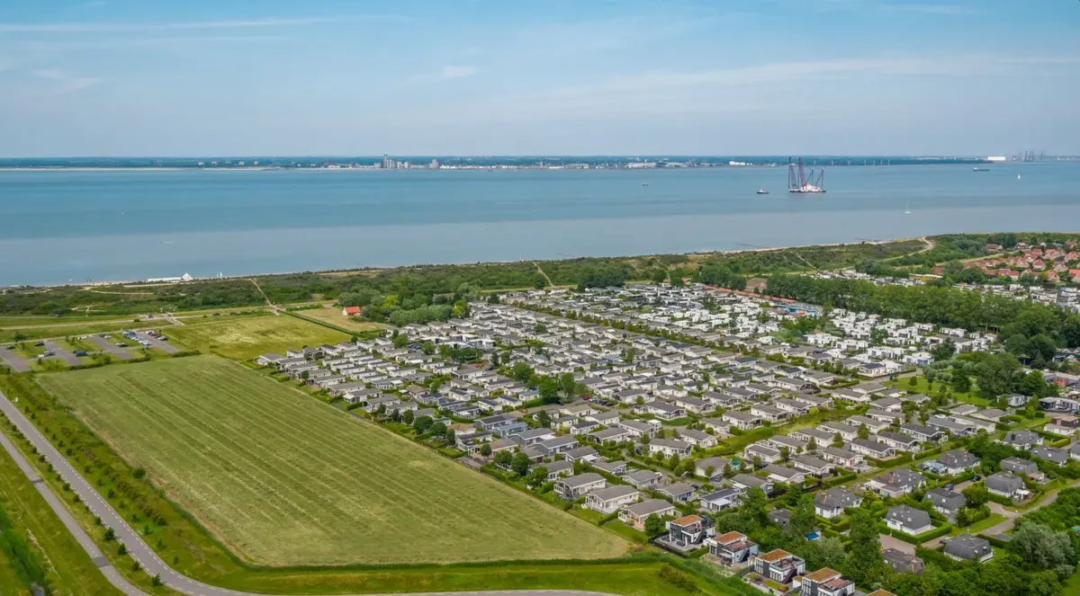 Schoneveld — hoofdfoto