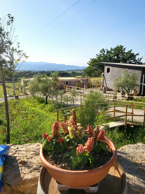 Camping Viovillas Country House Arezzo — hoofdfoto