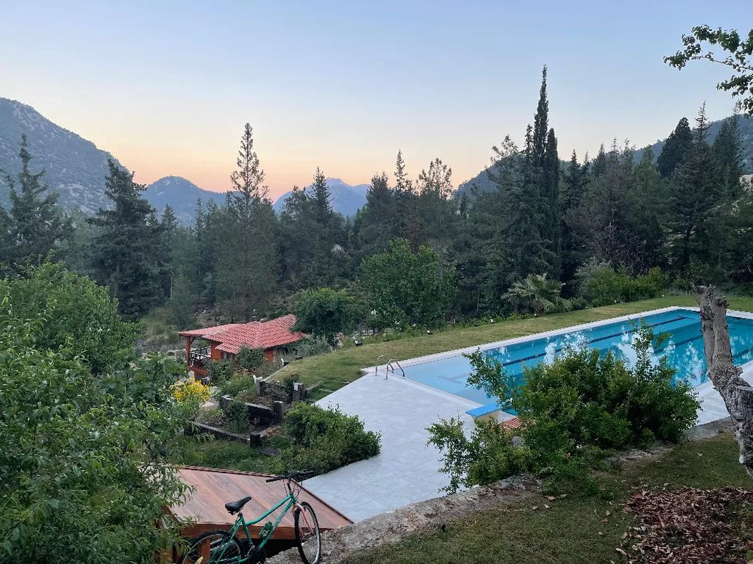 Trinitys Forest Bungalows, hoofdfoto