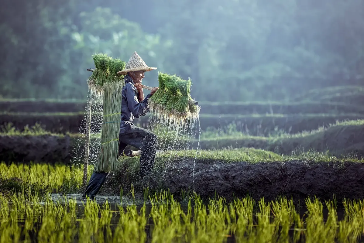 Nostalgisch Indonesië — hoofdfoto