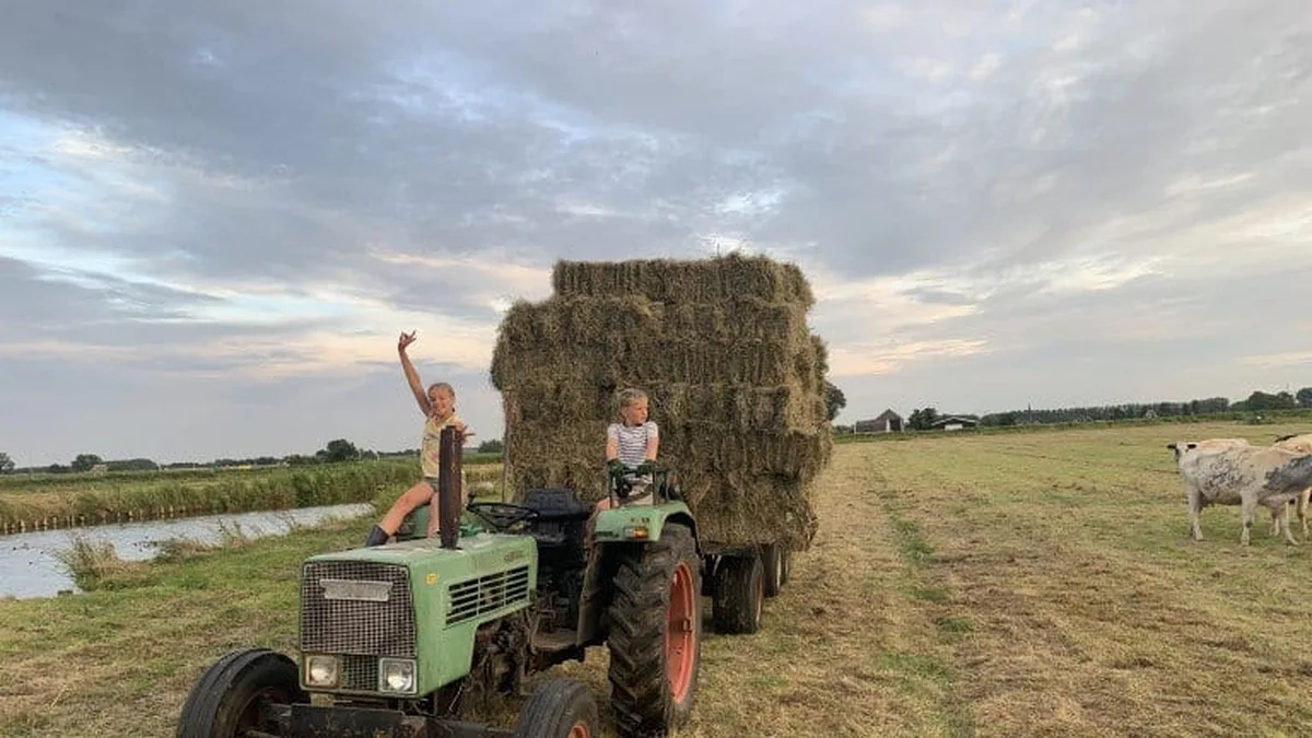 Vodatent Boerencamping Swarthoeve — hoofdfoto