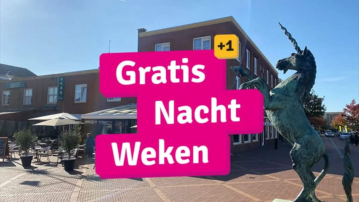 Hotel Du Commerce Oostburg, hoofdfoto