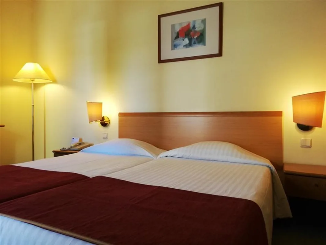 Flag Hotel Guimarães-Fafe, hoofdfoto