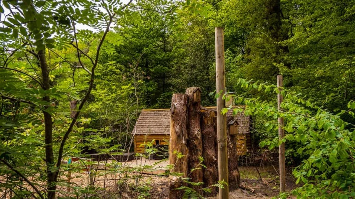 Camping Diever — hoofdfoto