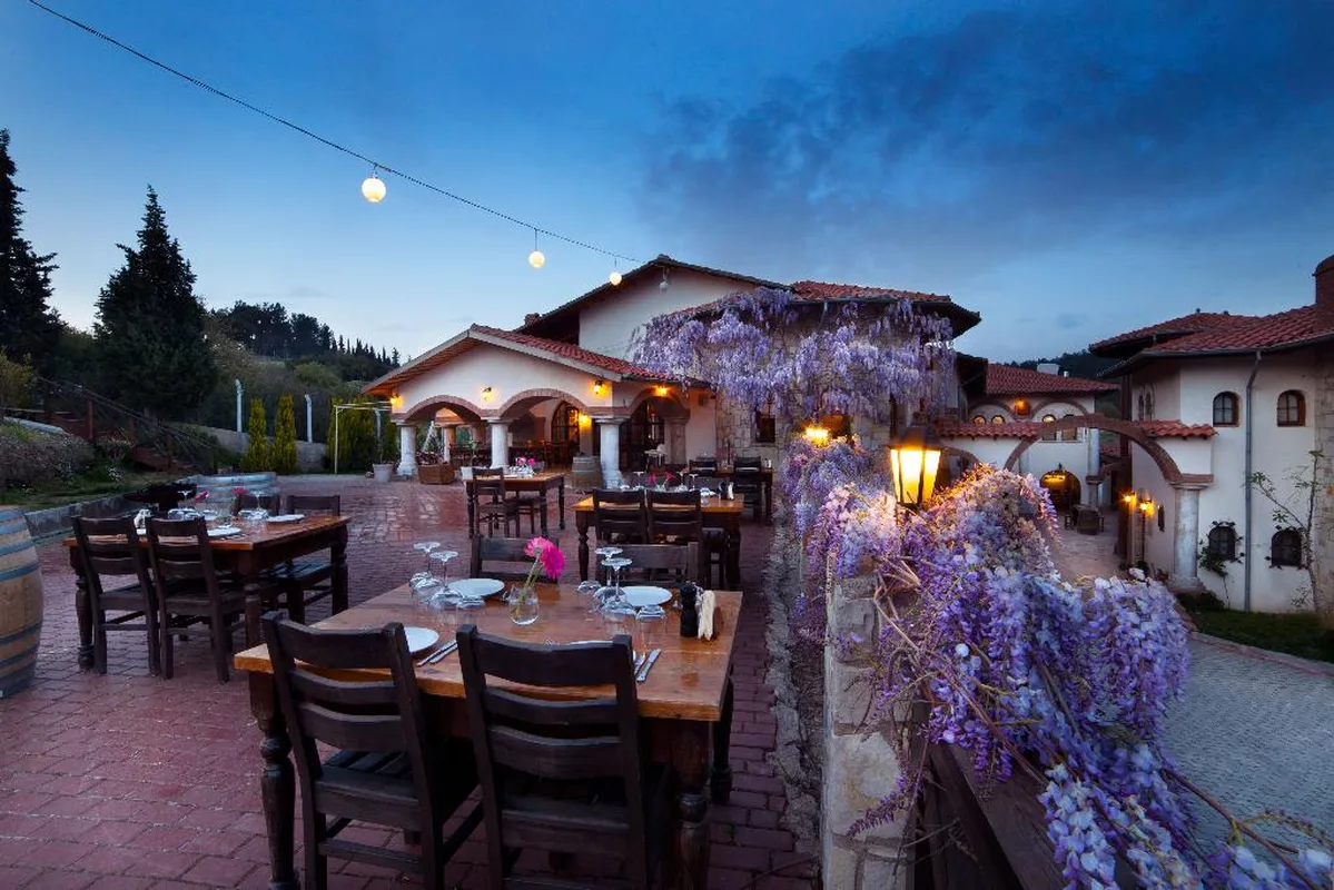 Vinifera Vineyards Hotel — hoofdfoto