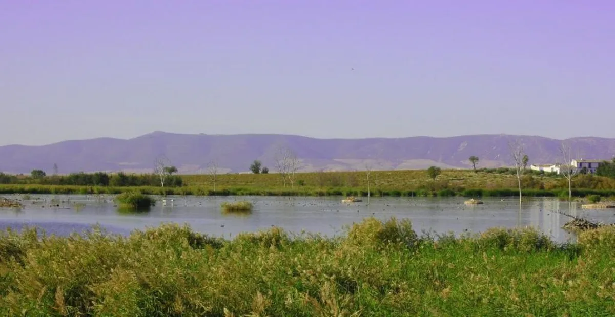 Hotel Las Tablas — hoofdfoto